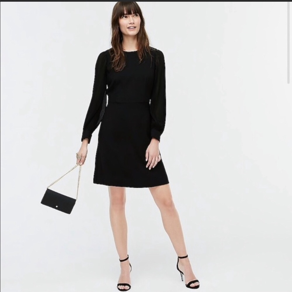 J.Crew Dress with Pleated Sleeves